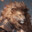 Goldheart's public community avatar